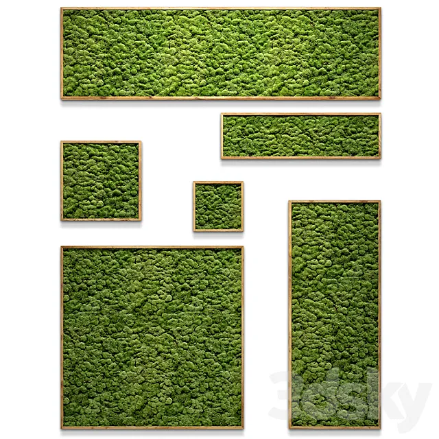 Framed moss 3D Model