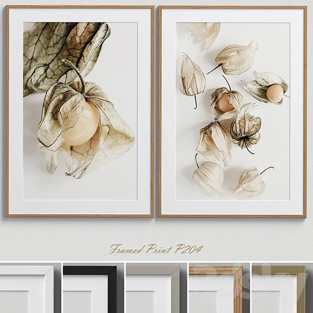 Framed Print P-204 3DModel