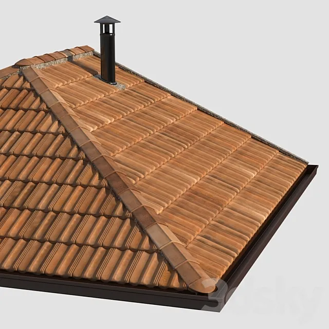 French tile roof 3D Model