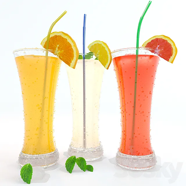 Freshovy Network 3D Model