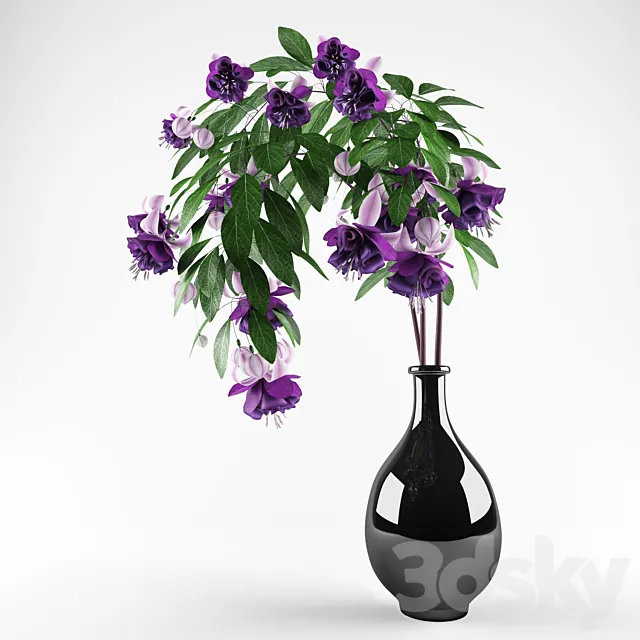 Fuchsia 3D Model