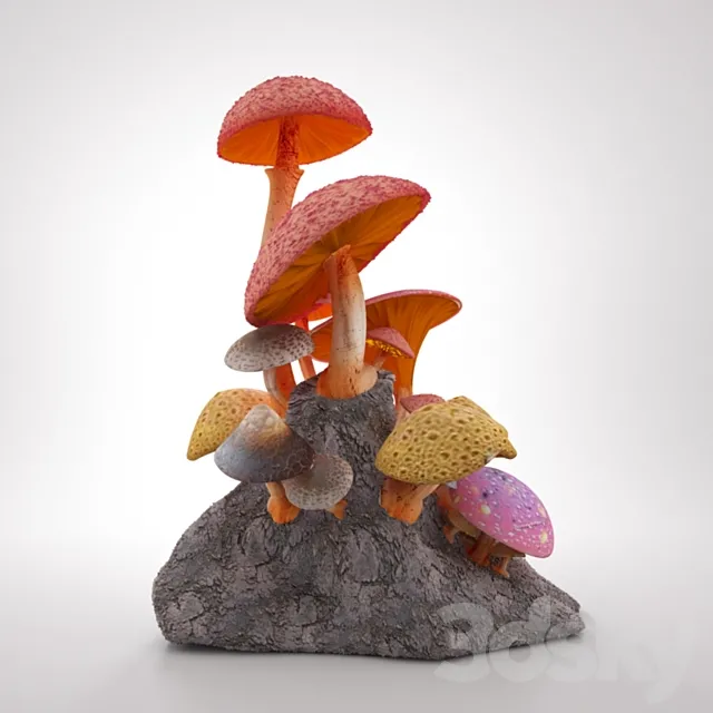 fungus 3D Model
