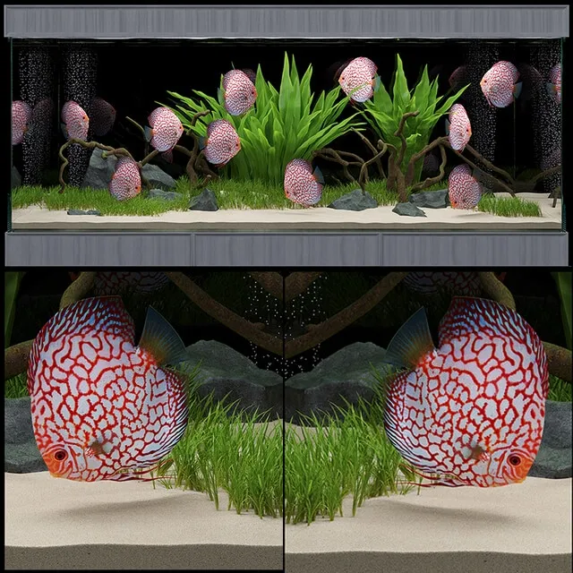 furniture - Aquarium 14 3D Model