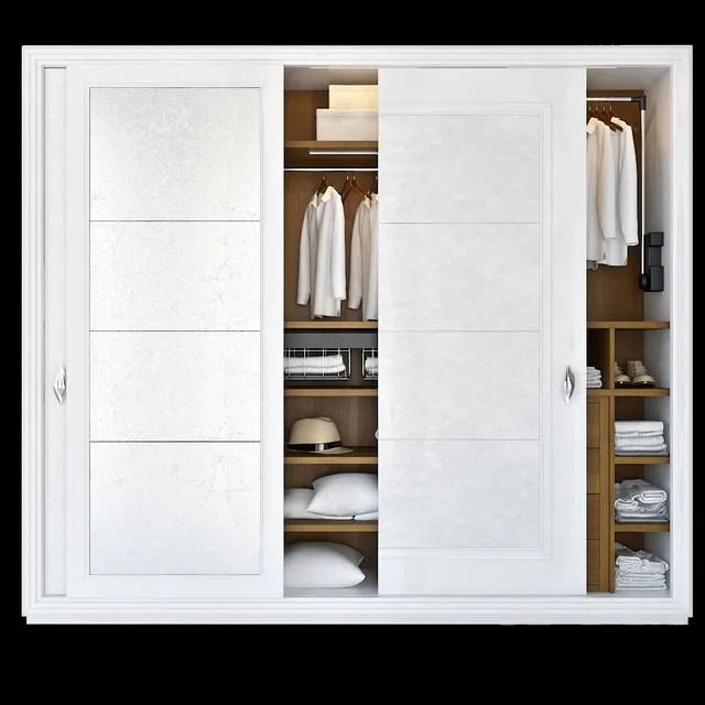 furniture - Laccato wardrobe 3D Model