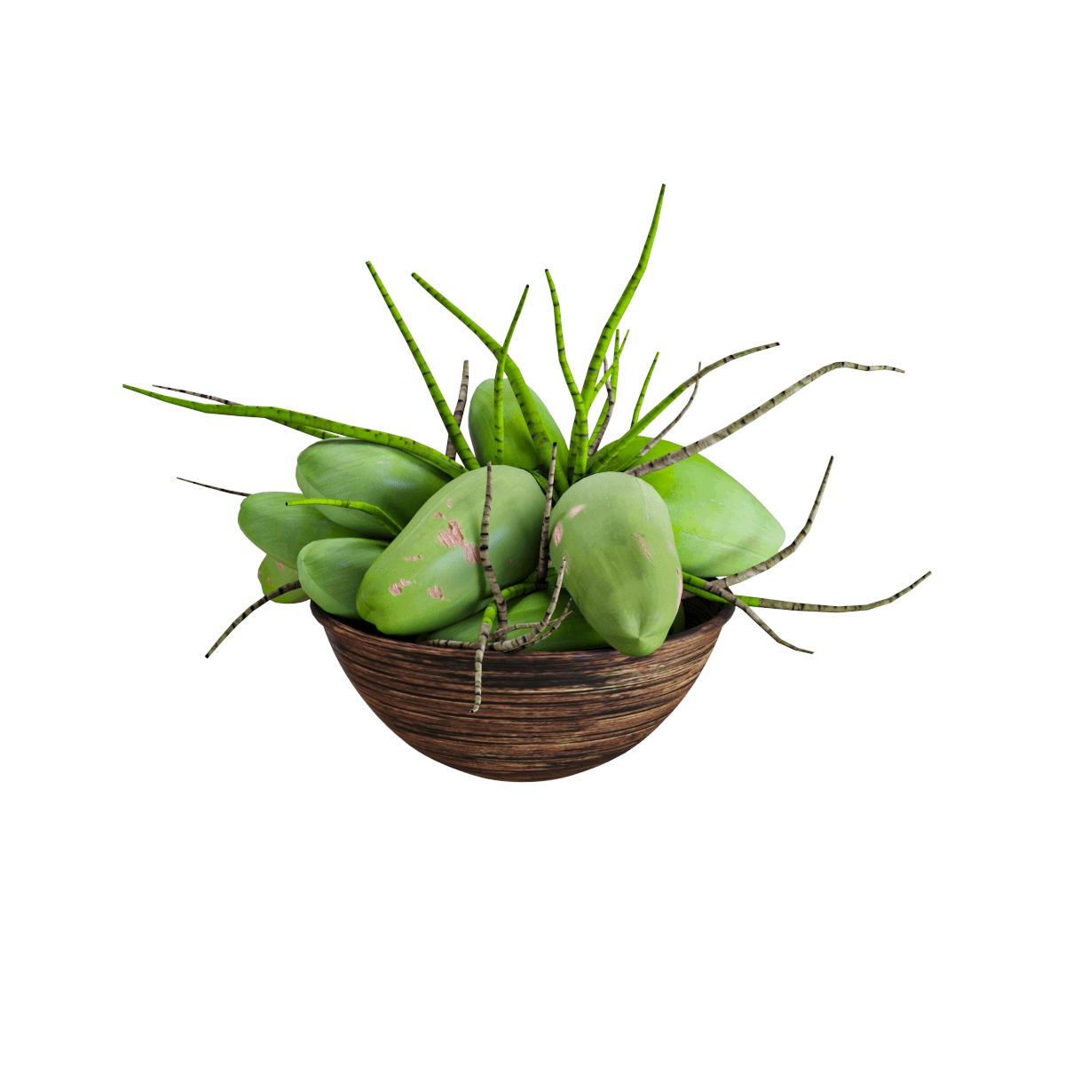 furniture - Set of coconut 3D Model