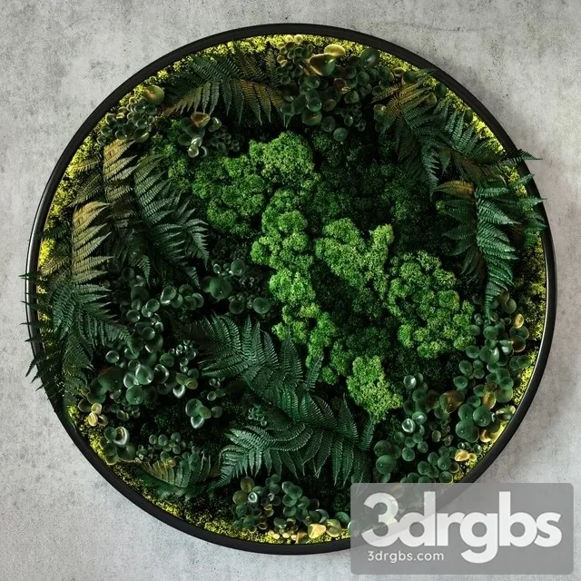 Fyto Disk 3D Model Free