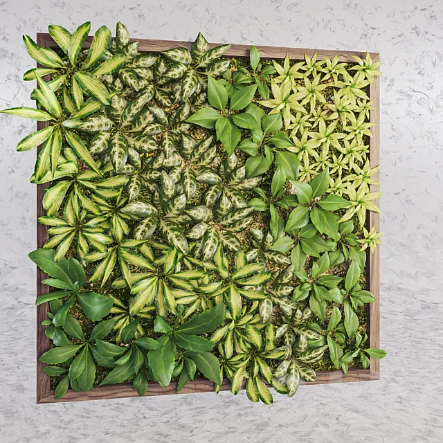 Fytowall diverse 3D Model