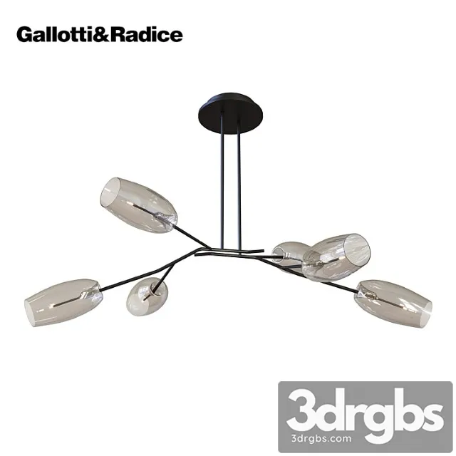 Galotti & radice diantha