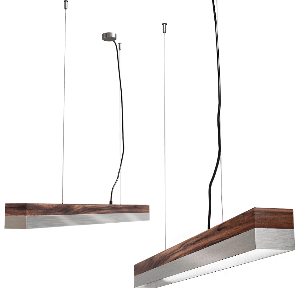 GANTlights - [C-2]stainless pendant light 3D Model