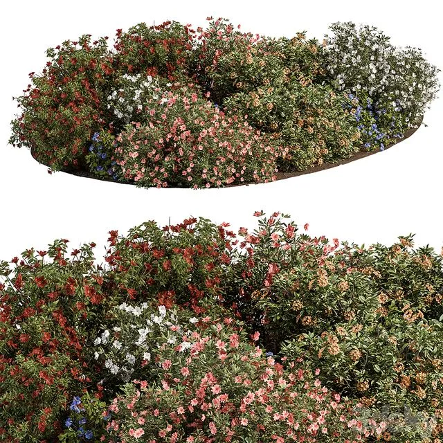 Garden colorful Flower Bush - Set 452 3D Model