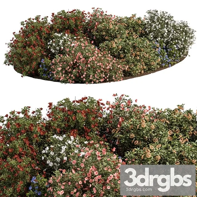 Garden Colorful Flower Bush Set 452 3D Model Free