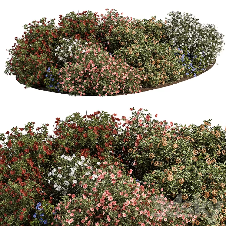 Garden colorful Flower Bush - Set 452 3D Model Free