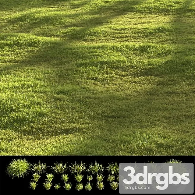Garden Grass 3D Model Free