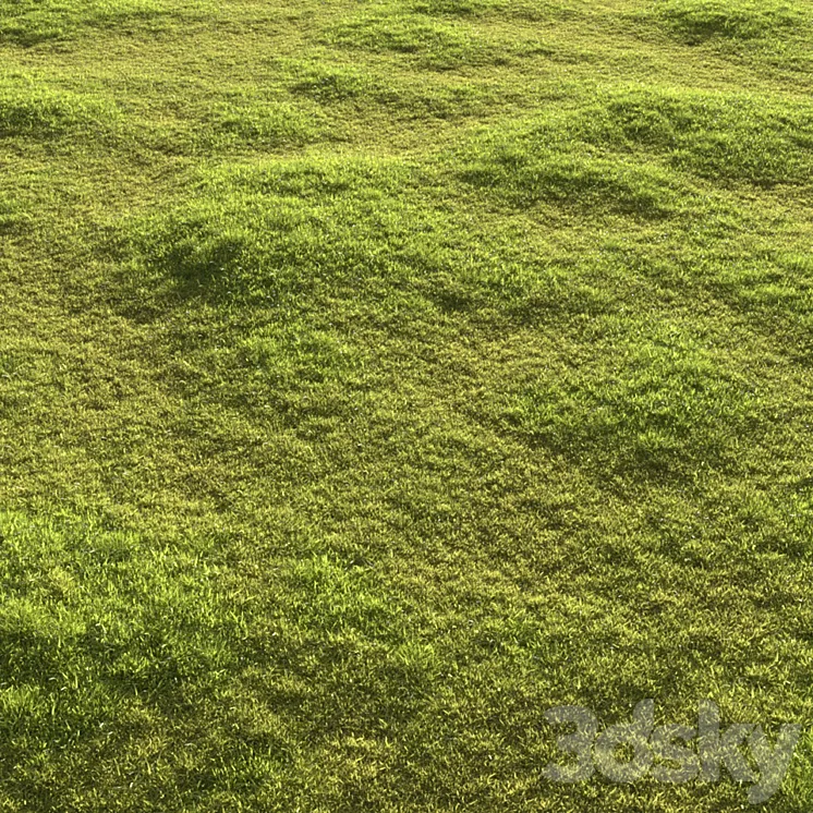 Garden grass 3D Model Free