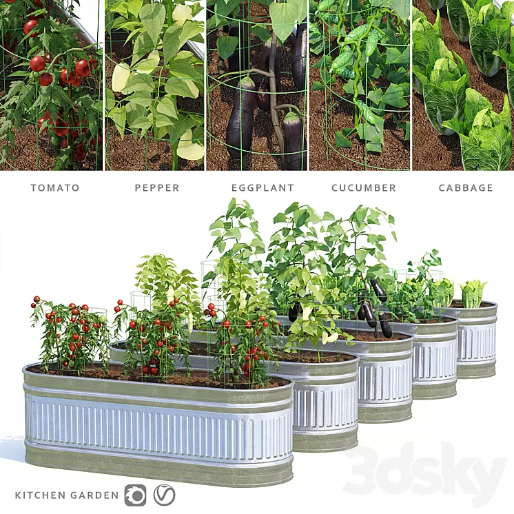 Garden | Kitchen garden 3D Model