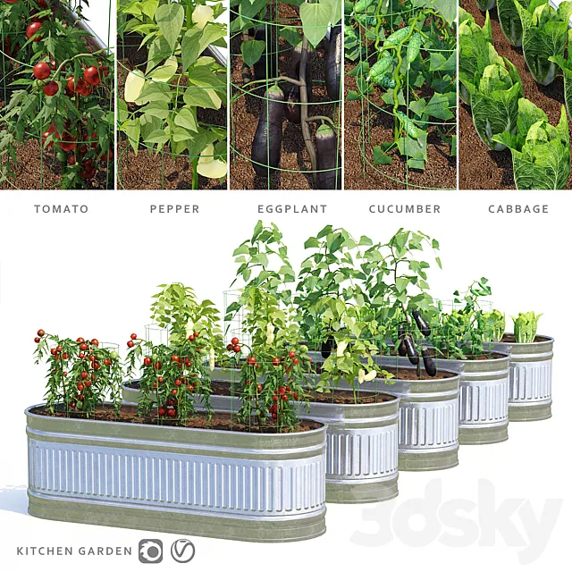 Garden | Kitchen garden 3D Model