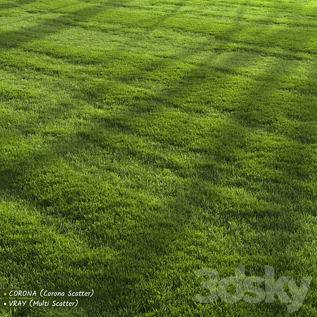 Garden Lawn 3D Model