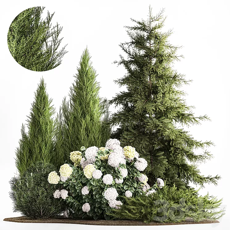 Garden of spruce pine topiary white hydrangea bush flowers juniper alpine hill. Plant set 1181 3D Model Free