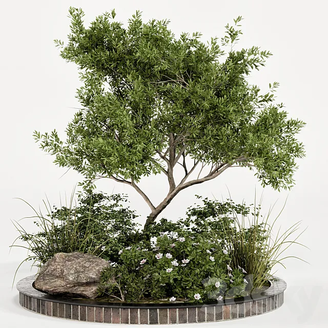 Garden plant set 05 3D Model