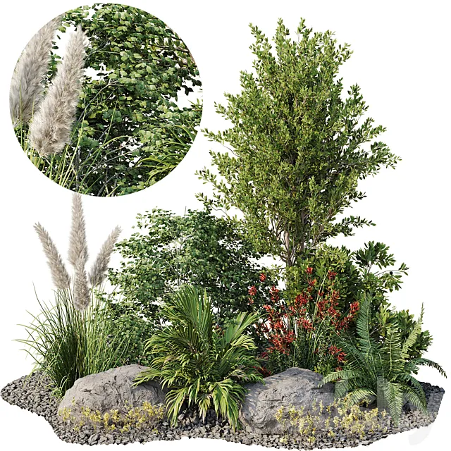 Garden plant set 08 3D Model