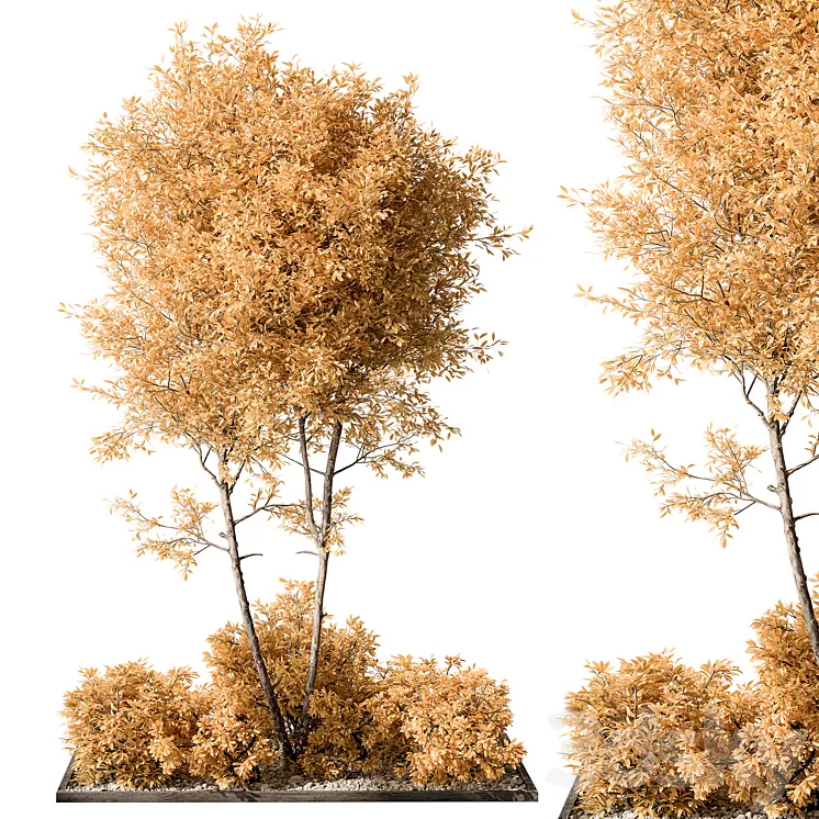 Garden Plants - Outdoor Plants 476 3D Model Free