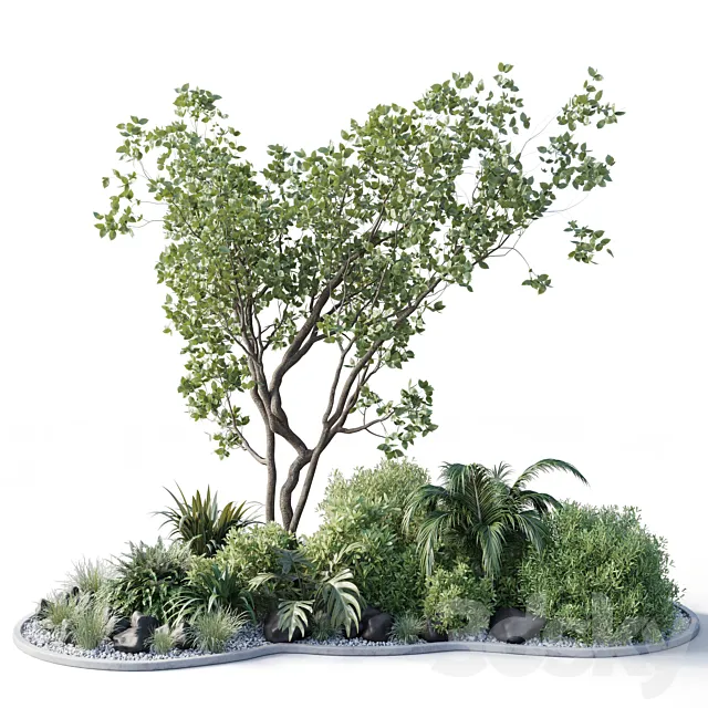 garden pot tree bush - Collection outdoor indoor 113 3DModel