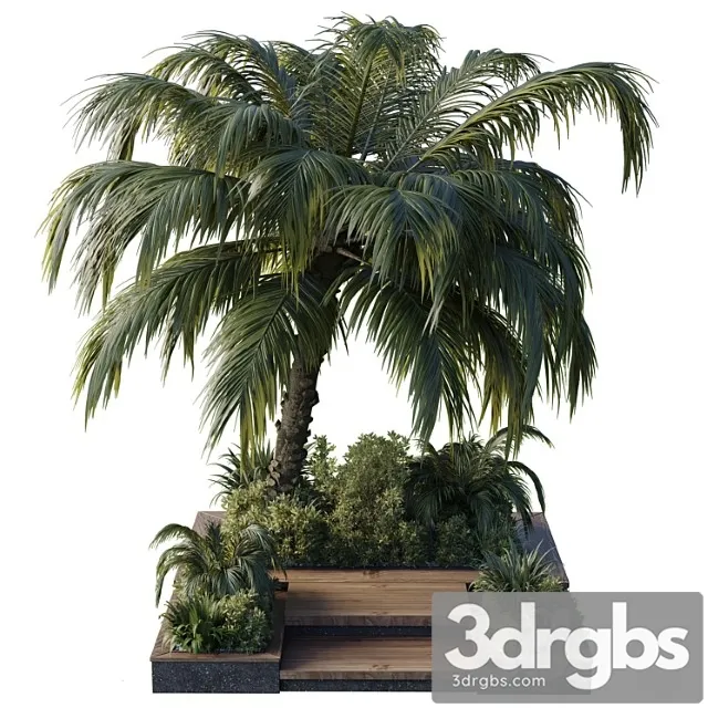 Garden Pot Tree Palm Bush Fern Grass Concrete Base Collection Outdoor Plant 102 3D Model Free
