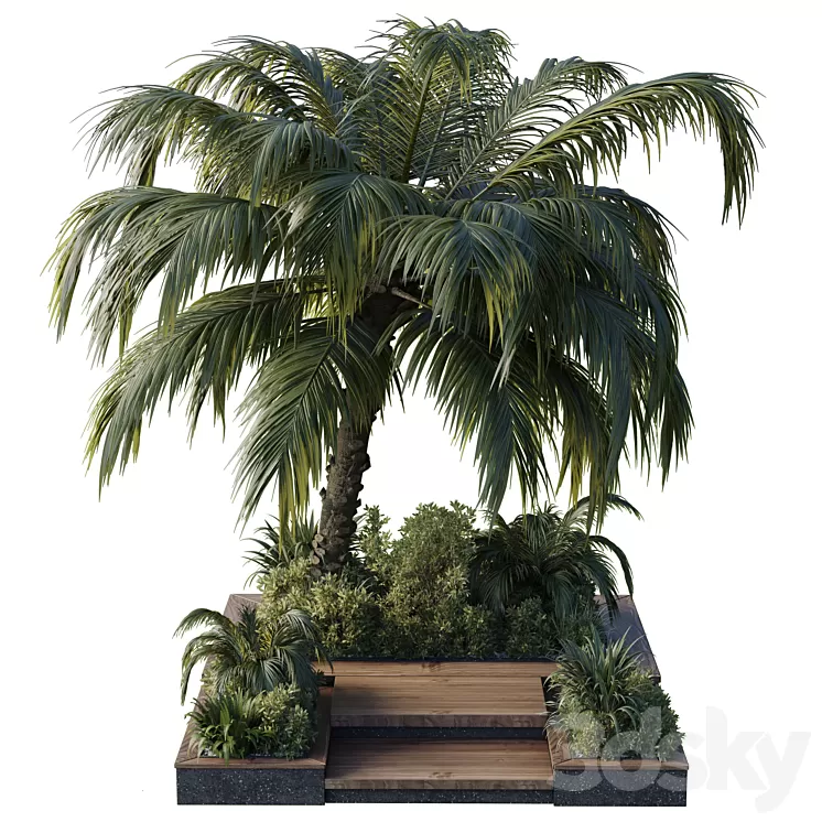 garden pot tree palm bush fern grass concrete base Collection Outdoor plant 102 3D Model Free