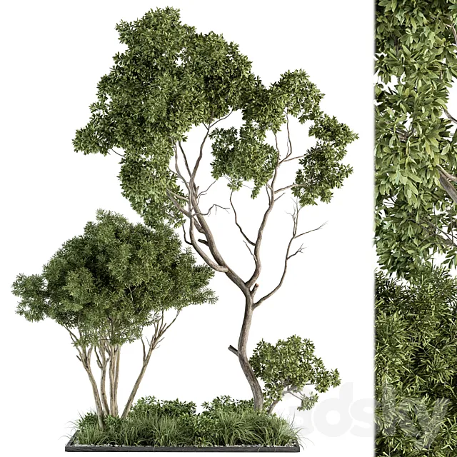 Garden Set Broadleaf Tree - Outdoor Plants Set 360 3DModel