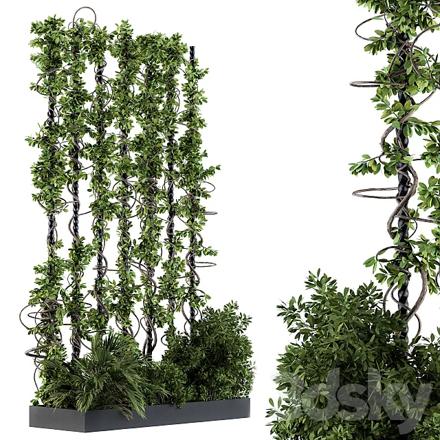 Garden set bush and ivy - Garden Set 09 3D Model