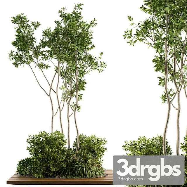 Garden Set Bush And Tree Garden Set 04 Free Download