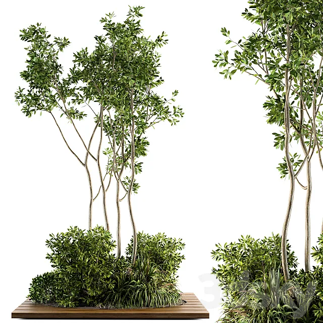 Garden set bush and Tree - Garden Set 04 3D Model