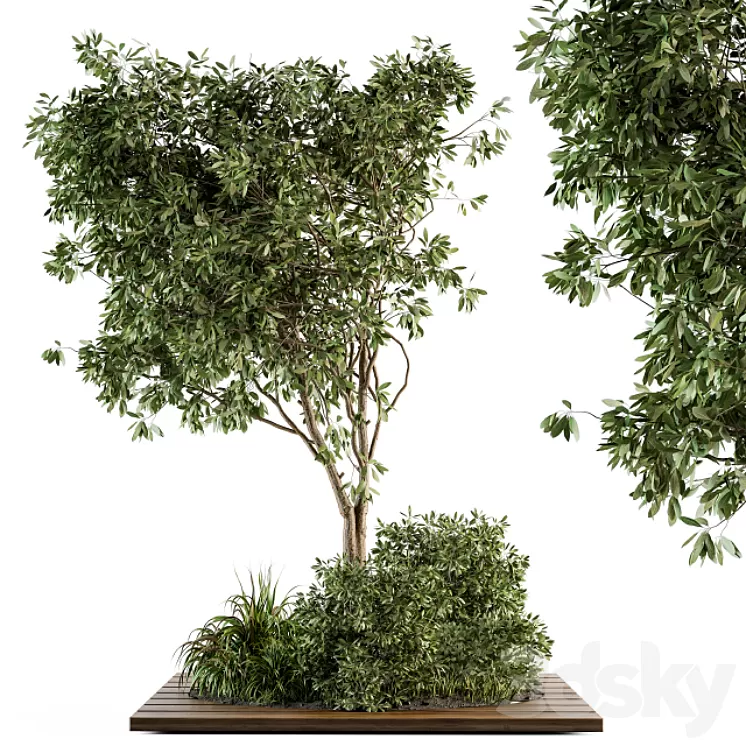 Garden set bush and Tree - Garden Set 05 3D Model