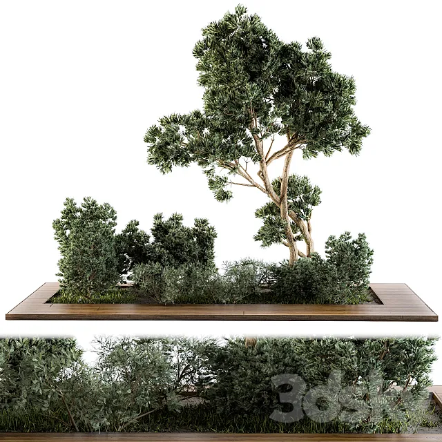 Garden set bush and Tree - Garden Set 06 3D Model
