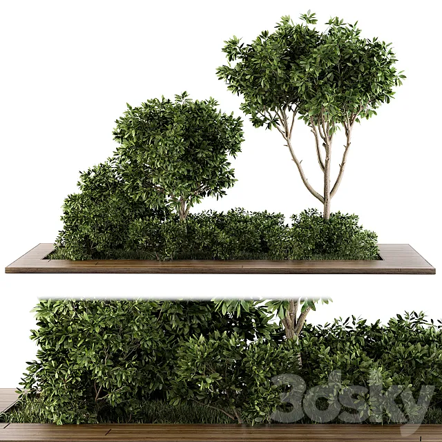 Garden set bush and Tree - Garden Set 07 3DModel
