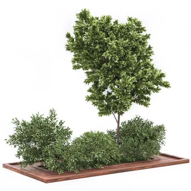 Garden set bush and Tree_Set01 3D Model