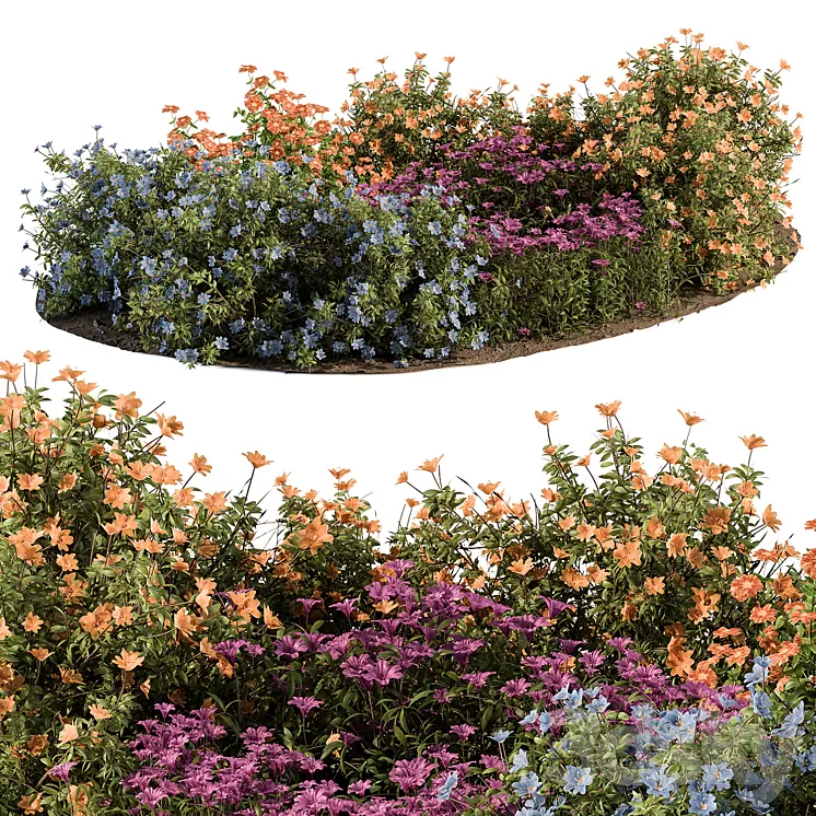 Garden Set colorful Flower Bush - Outdoor Plants Set 424 3D Model Free