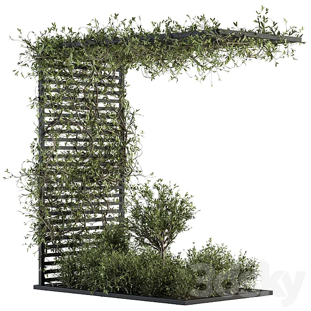 Garden set ivy and Bush - Garden Set 13 Free Download