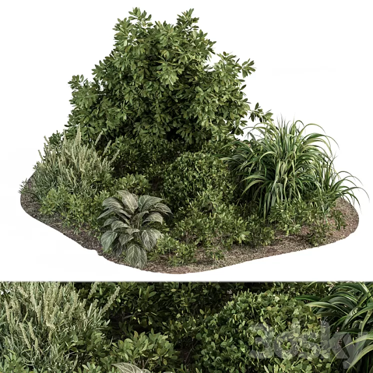 Garden set ivy and Bush - Garden Set 20 3D Model