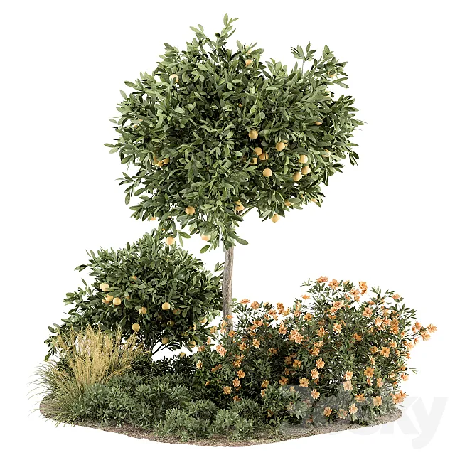 Garden set Lemon tree and Bush – Garden Set 26 3DModel