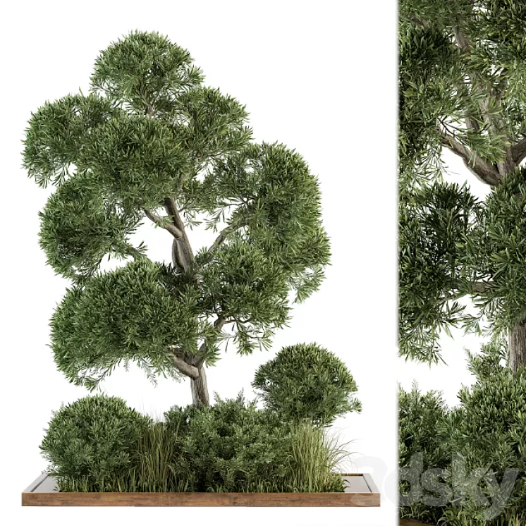 Garden set Tree and Bush - Garden Set 16 3D Model