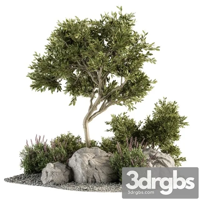 Garden Set Tree and Bush Garden Set 18 3D Model Free