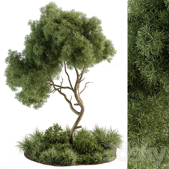 Garden Set Tree and Plants - Outdoor Plants Set 399 3DModel
