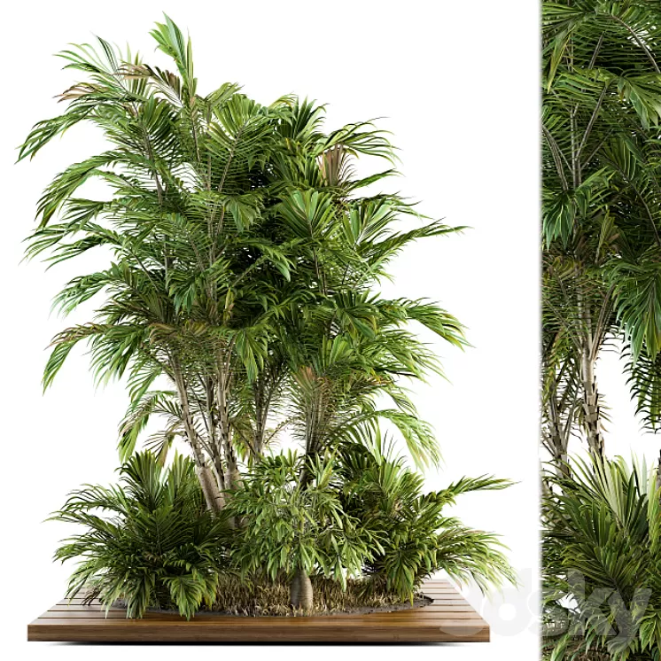 Garden set Tropical bush and Tree - Garden Set 05 3D Model