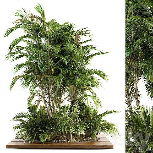 Garden set Tropical bush and Tree - Garden Set 05 3DModel