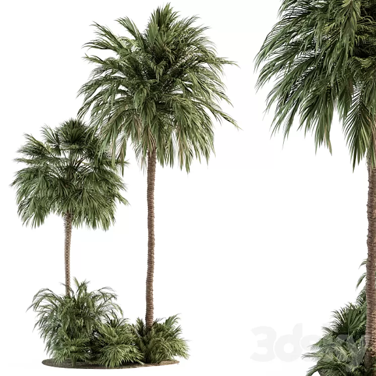 Garden set Tropical Plants - Garden Set 28 3D Model Free