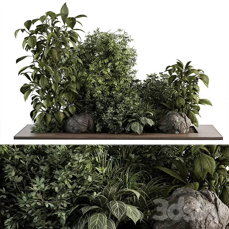 Garden Set Tropical Plants - Outdoor Plants Set 381 3D Model