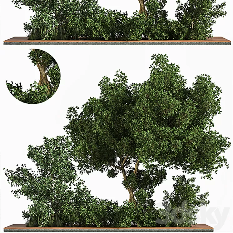 Garden_set_Grass _ & _ Tree 3D Model