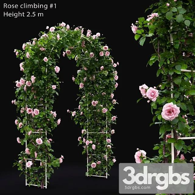 Gate Rose 26 3D Model Free