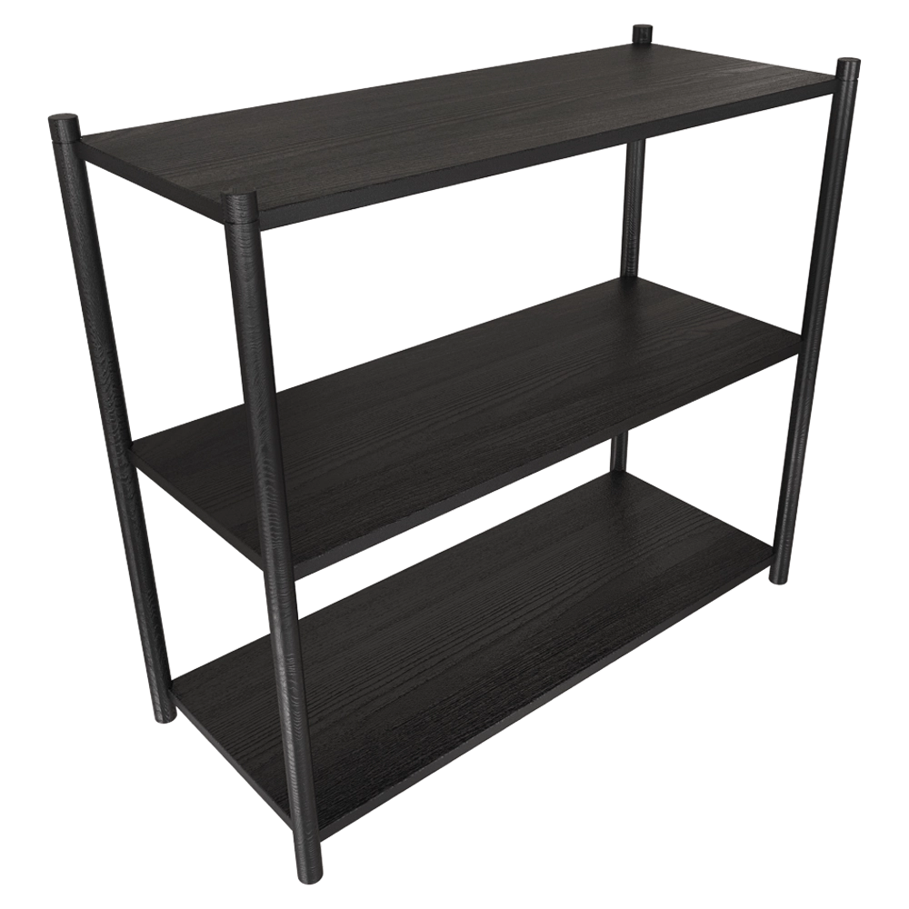 Gejst - Bookcase Sceene A black oak 3D Model